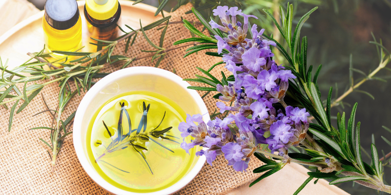 How Rosemary Aroma Can Help with Focus and Alertness: Benefits Backed by History