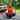 Woman mediating with a Boost Oxygen Balance can next to her.