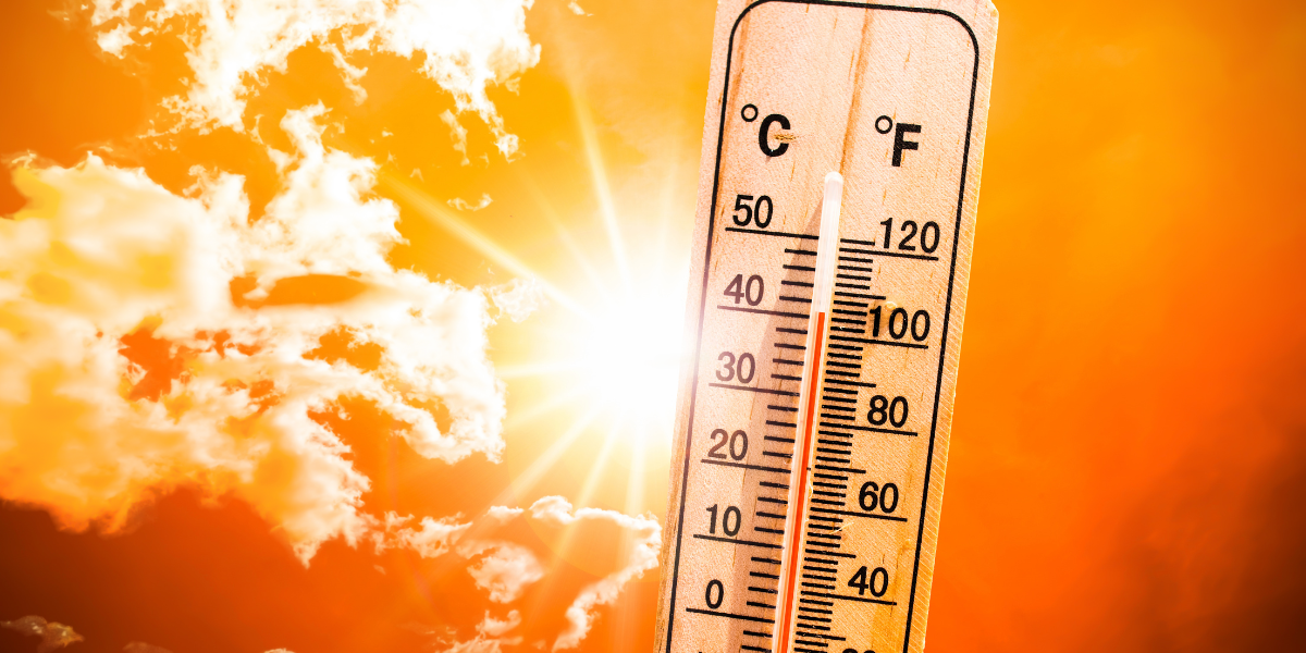 Summer Air Quality