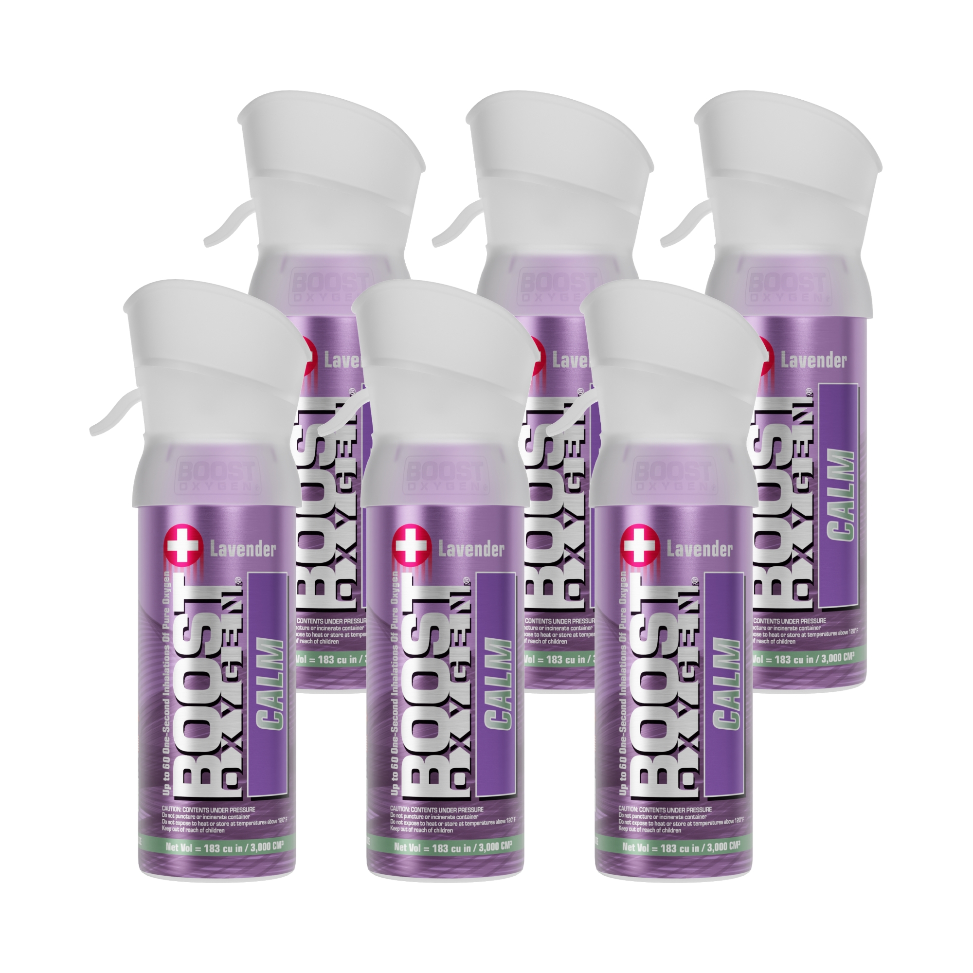 309 3D Model 6PK (2)