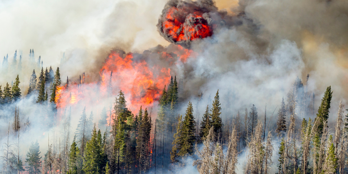 Wildfire Smoke