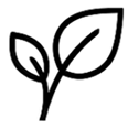 icon ashwaghanda