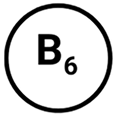 icon b6