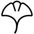 icon ginkgo biloba